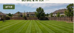 Fresh sod installed in a fenced backyard